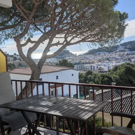 Pau Picasso 3 - Piso En Tossa Con Terraza Y A/a 公寓