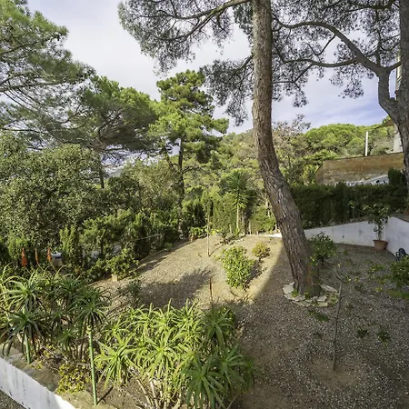 Piso Reformado En Tossa Con Terraza Y Aa